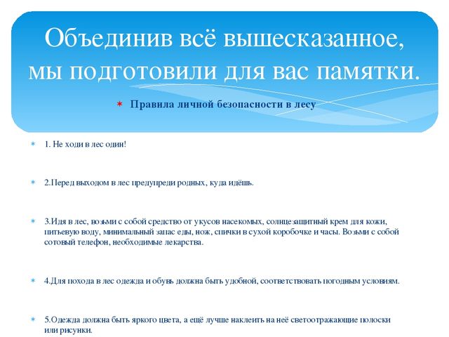 Презентация для дошкольников "О правилах безопасности в лесу"
