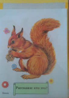 Picture 2