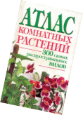 Рисунок 9