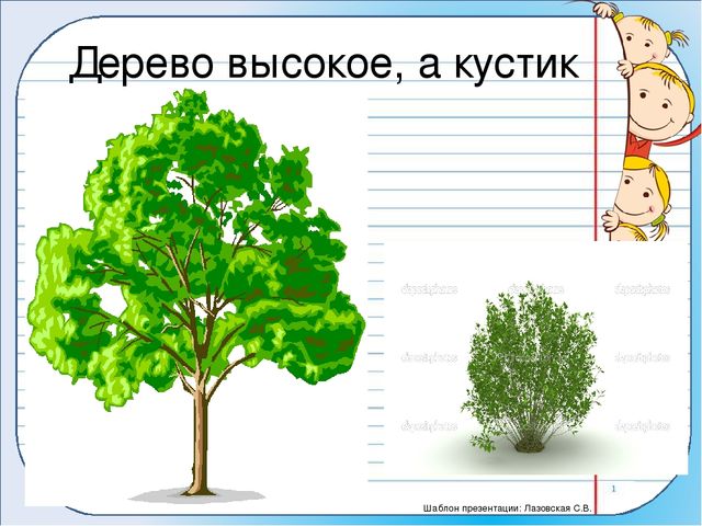 Презентация на тему:" Весенние приметы".