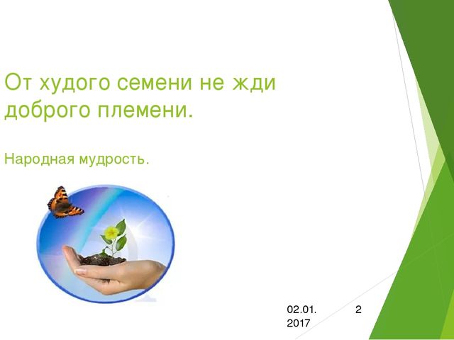 Презентация по самообразованию:"Эколого-валеологическая компетенция"