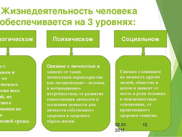 Презентация по самообразованию:"Эколого-валеологическая компетенция"