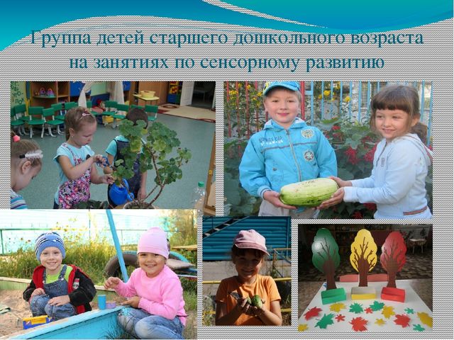 Презентация "Роль объектов природы и природного материала в сенсорном развитии детей старшего дошкольного возраста