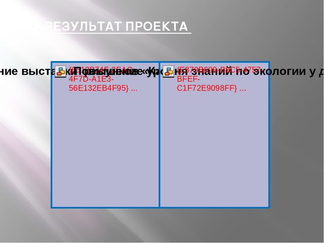 Презентация экологического проекта "Какой он, климат?"