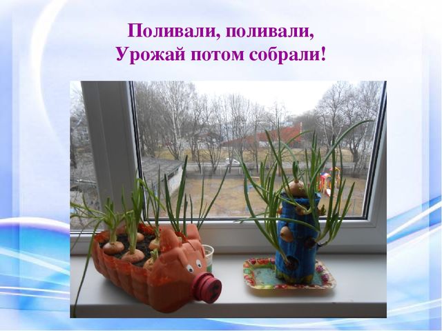 Презентация исследовательско-творческого проекта "Чудеса вокруг нас" (группа раннего возраста)
