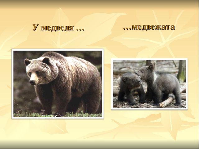 Презентация к ООД "Прогулка в зоопарк"
