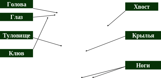 Shape2