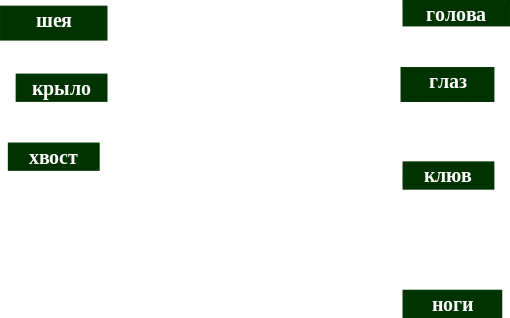 Shape3