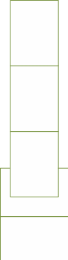 Shape24