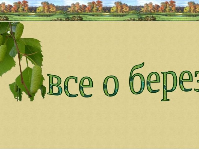 Презентация по познавательному развитию "Русская береза"
