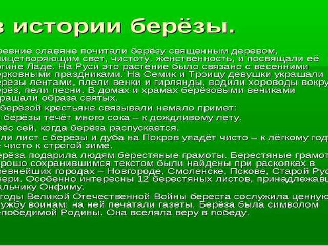 Презентация по познавательному развитию "Русская береза"