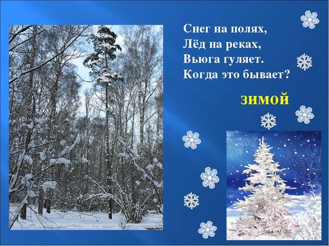 Презентация на тему: "Птицы зимой"