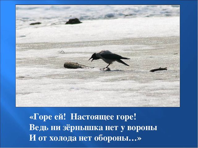 Презентация на тему: "Птицы зимой"
