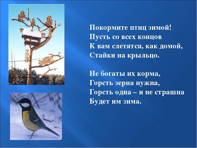 Презентация на тему: "Птицы зимой"