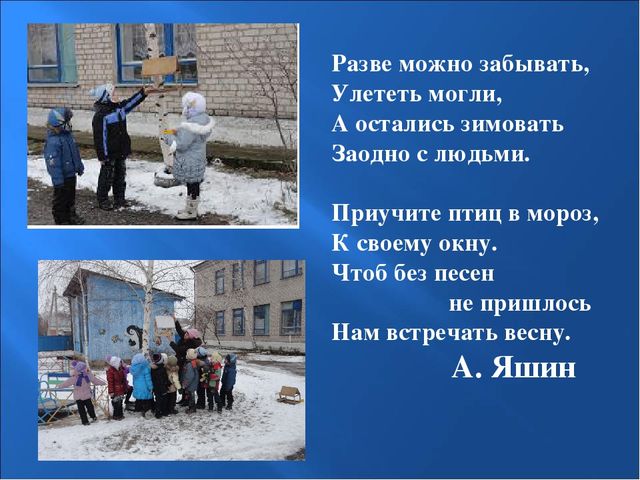 Презентация на тему: "Птицы зимой"