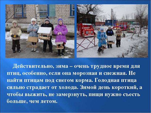 Презентация на тему: "Птицы зимой"