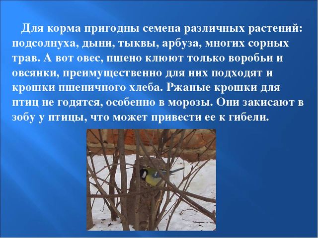 Презентация на тему: "Птицы зимой"