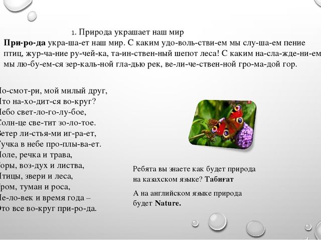 Презентация на тему"Живая и неживая природа"