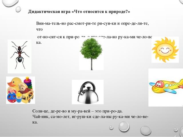 Презентация на тему"Живая и неживая природа"