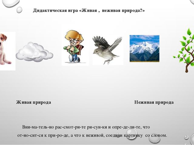 Презентация на тему"Живая и неживая природа"