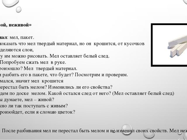 Презентация на тему"Живая и неживая природа"