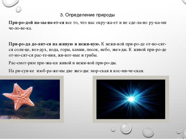 Презентация на тему"Живая и неживая природа"