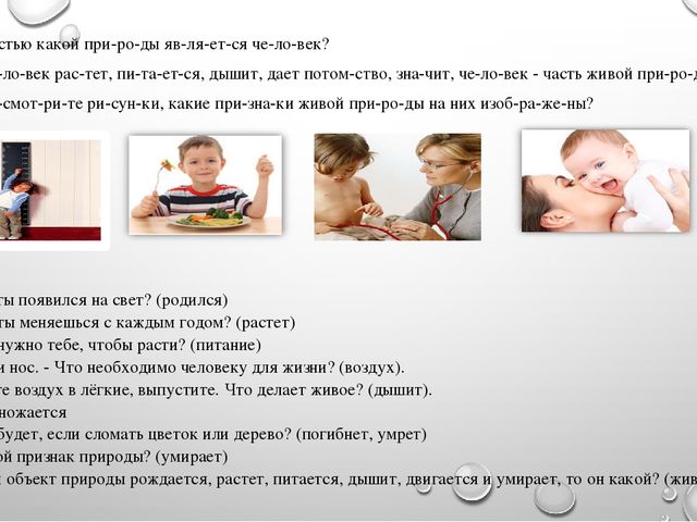 Презентация на тему"Живая и неживая природа"