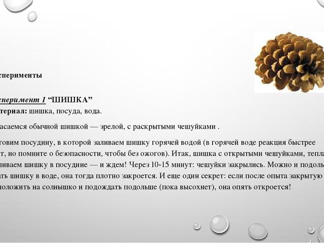 Презентация на тему"Живая и неживая природа"