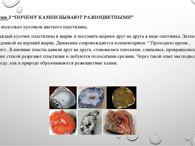 Презентация на тему"Живая и неживая природа"