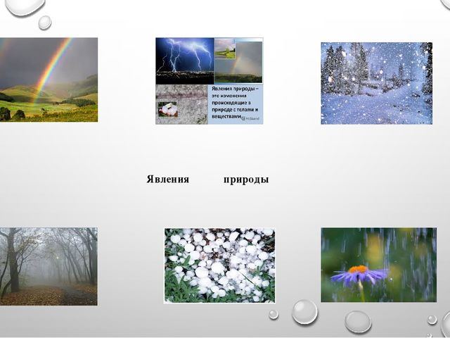 Презентация на тему"Живая и неживая природа"