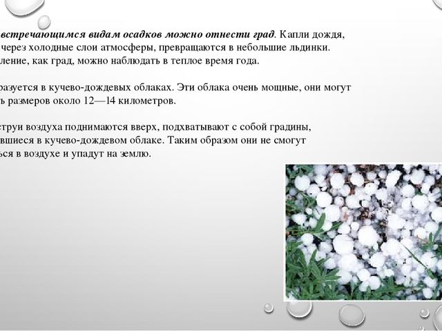 Презентация на тему"Живая и неживая природа"