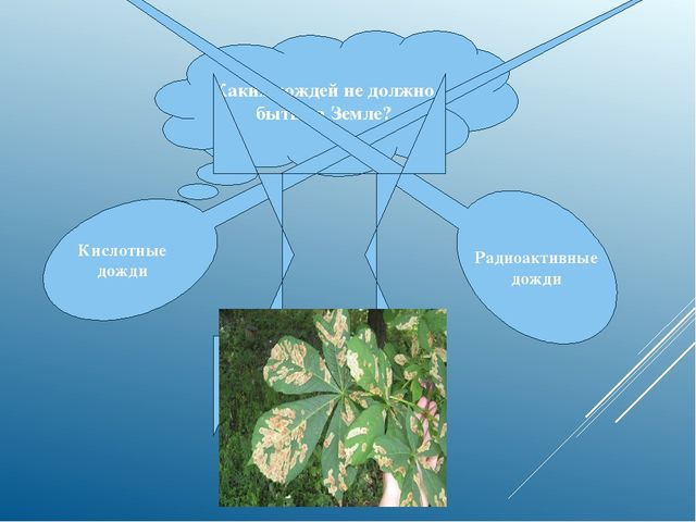 Презентация по «Естествознанию»  : «Явление природы-дождь»
