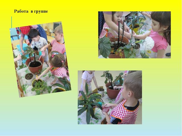 Презентация проекта "Во саду ли, в огороде..."