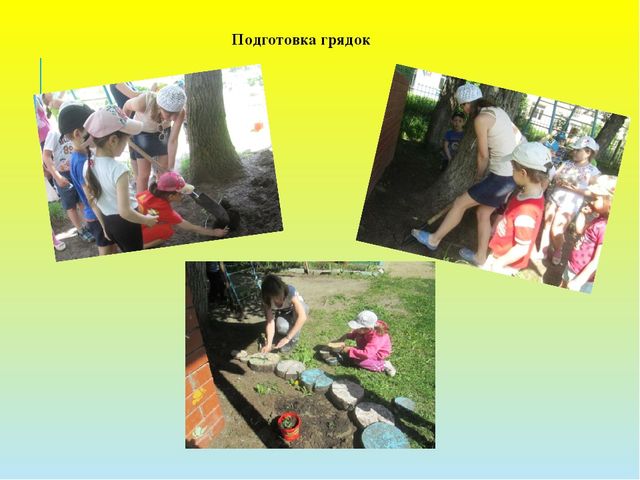 Презентация проекта "Во саду ли, в огороде..."