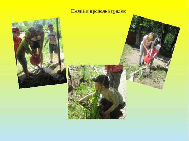Презентация проекта "Во саду ли, в огороде..."