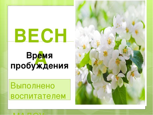 Презентация на тему "Весна"