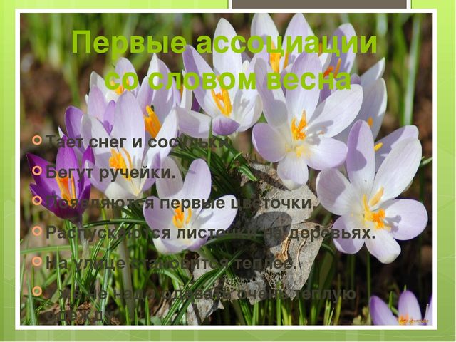 Презентация на тему "Весна"
