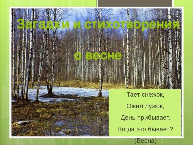 Презентация на тему "Весна"