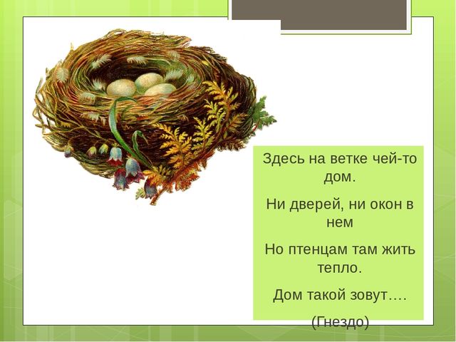 Презентация на тему "Весна"