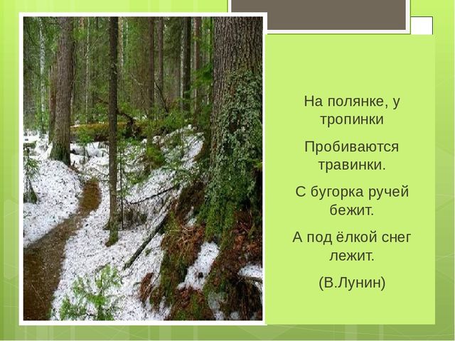 Стих с поляны. На полянке у тропинки пробиваются. На полянке у тропинки пробиваются травинки с бугорка. Полянка с тропинкой. С бугорка ручей бежит.