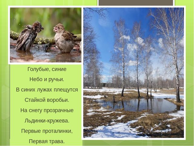 Презентация на тему "Весна"