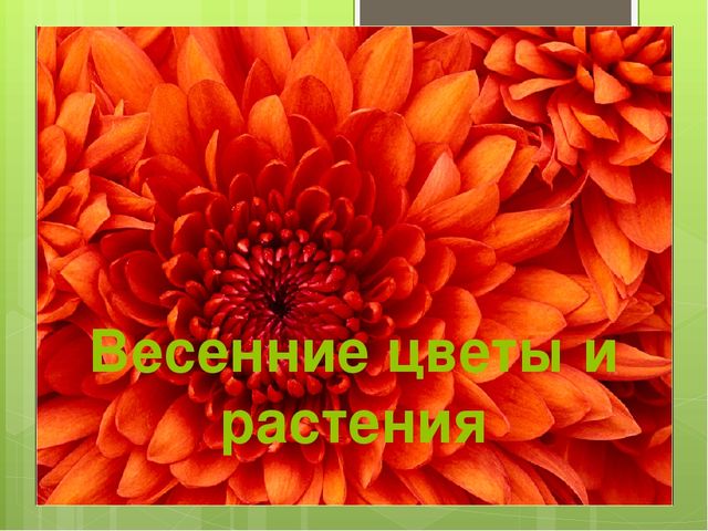 Презентация на тему "Весна"