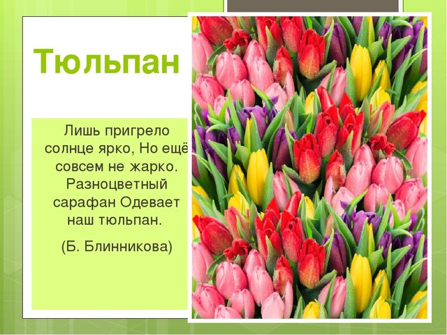 Презентация на тему "Весна"