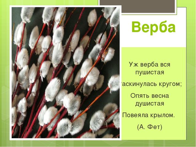 Презентация на тему "Весна"
