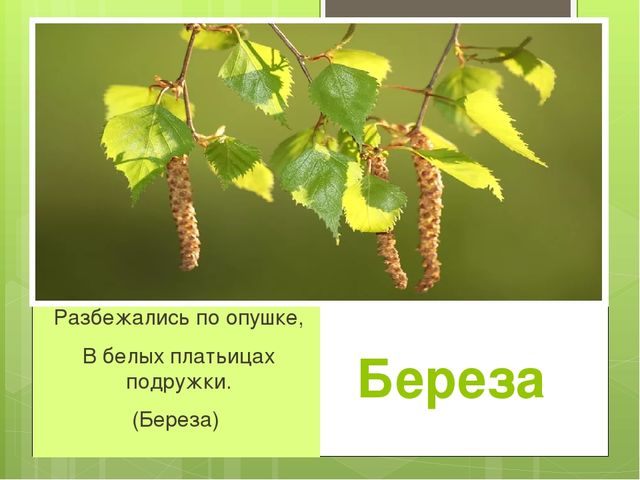 Презентация на тему "Весна"