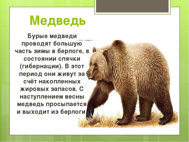 Презентация на тему "Весна"