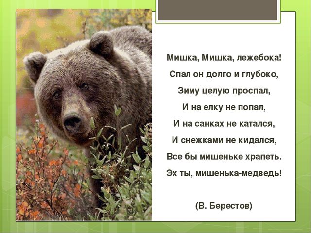 Презентация на тему "Весна"