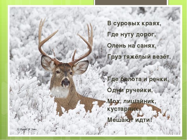 Презентация на тему "Весна"