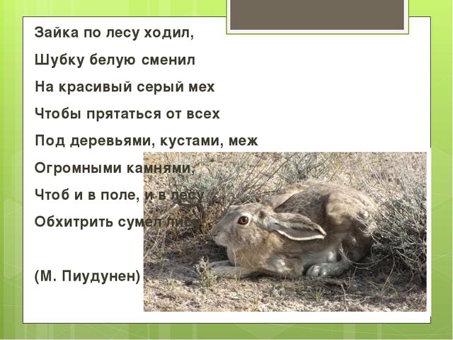 Презентация на тему "Весна"