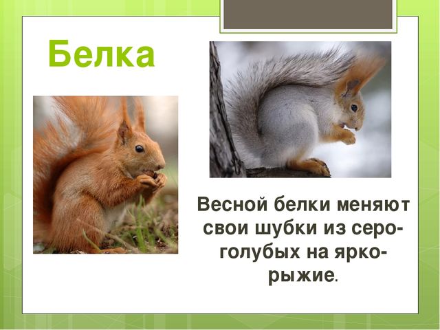 Презентация на тему "Весна"